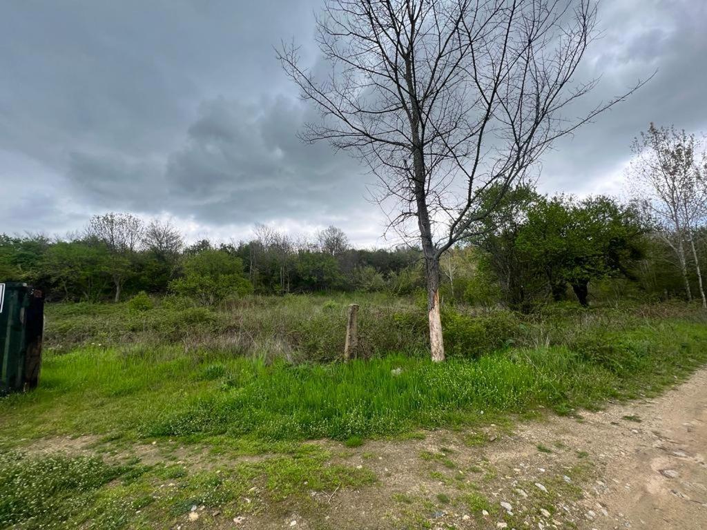 Къмпинг Частен Двор Bulgarian Campsite For Tents Kazanłyk Zewnętrze zdjęcie